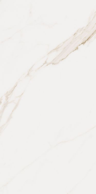 Omnia Calacatta Matte 24 x 48